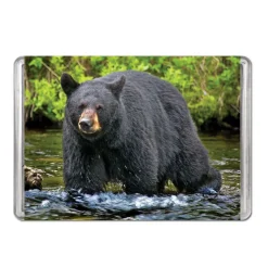 American Black Bear Minipix Puzzle< Hot