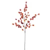 41.5" Berry Spray< Hot