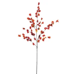 41.5" Berry Spray< Hot