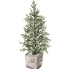 22" Frosted Mini Fir Tree< Online
