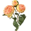 21" Just Cut Floribunda Coral Rose< Hot