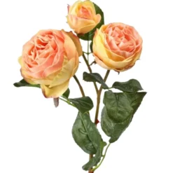 21" Just Cut Floribunda Coral Rose< Hot