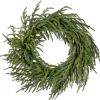 24" Just Cut Norfolk Pine Wreath< Hot