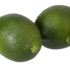 3" Lime Bag of 4< Best