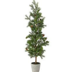 36" Pencil Princess Pine Tree in A Cement Pot< Clearance