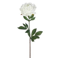 25" Real Touch White Peony Stem< Clearance