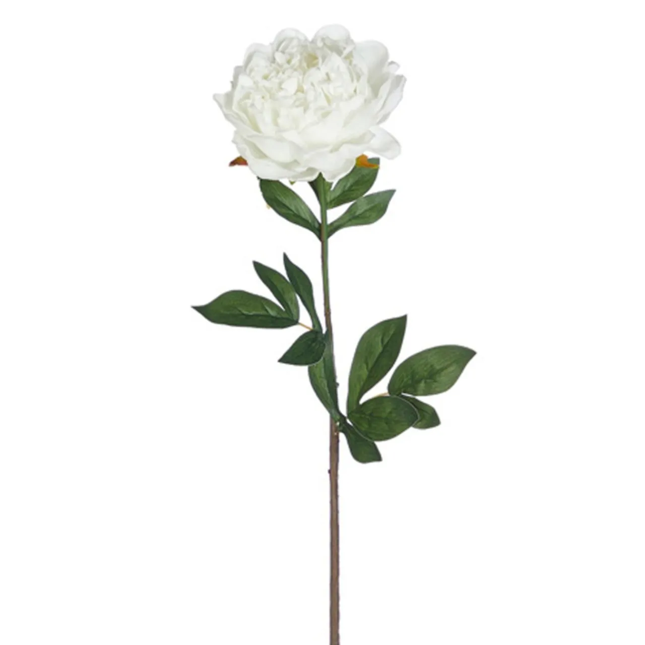 25" Real Touch White Peony Stem< Clearance
