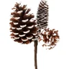 11" White Tipped Mixed Cone Pick< Hot