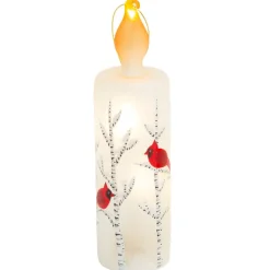Birch & Cardinal LED Glass Light< Online
