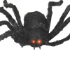 Black Spider< New