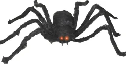 Black Spider< New
