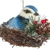 Blue Jay Nest Ornament<Kurt Adler New