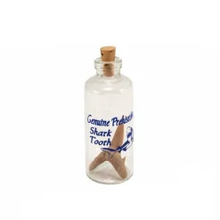 Channel Craft Shark Tooth in a Bottle< Fashion