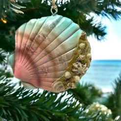 Coral Reef Clam Shell Ornament< Discount