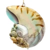 Coral Reef Snail Shell Ornament< Fashion