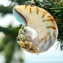 Coral Reef Snail Shell Ornament< Fashion