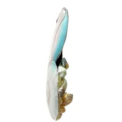 Coral Reef Snail Shell Ornament< Fashion