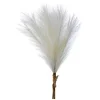 Cream Feather Pampas Grass Bundle< Hot