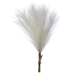 Cream Feather Pampas Grass Bundle< Hot