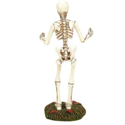 Halloween - Sized for Surprise Skeleton<Department 56 Discount