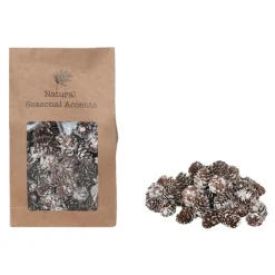 Dried Natural Snow Finish Pinecones in Bag< Outlet