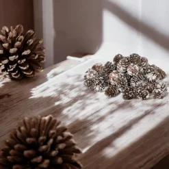 Dried Natural Snow Finish Pinecones in Bag< Outlet