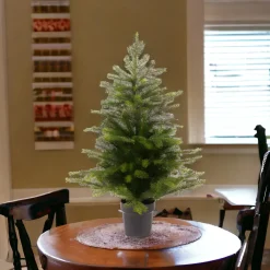 Everlands Mini Potted Tree - Grandis, 17.7" Tabletop< Discount
