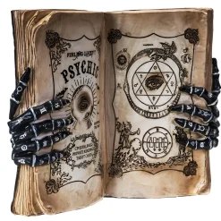 Feeling Lucky Psychic Book Figurine< Online