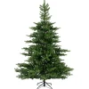 5 Foot Grandis Fir Unlit Christmas Tree< New