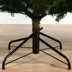 5 Foot Grandis Fir Unlit Christmas Tree< New