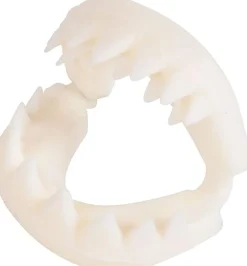 Great white shark teeth< Fashion