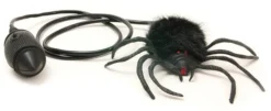 Hairy Scary Jumping Spider< Online
