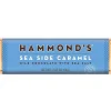 Hammond's Candies Natural Sea Side Caramel Milk Chocolate Candy Bar< Best