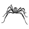 Jewel Eyed Spider< Hot