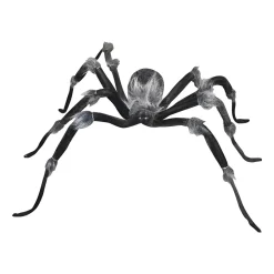Jewel Eyed Spider< Hot