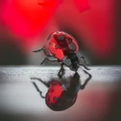 Ladybug Ornament< New