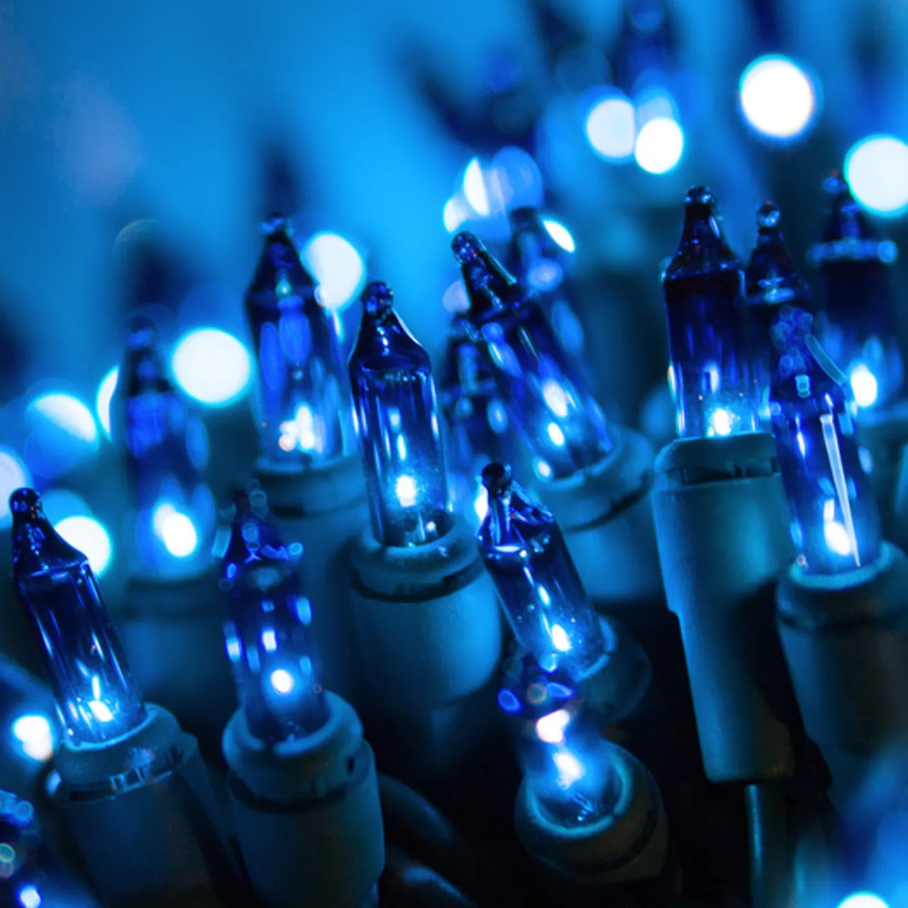 50 LED Blue Incandescent Style Lights Green Wire | The Christmas Loft< Outlet