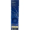 60 LED Flashing Polestar - The Christmas Loft<Lumineo Discount