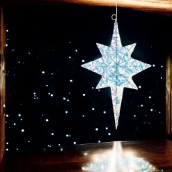 LED Large Star Ornament< Best