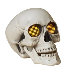 Light Up Skull w/Sound< Clearance