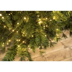 - 1512 LED Warm White Cluster Lights Green Wire | The Christmas Loft<Lumineo Fashion