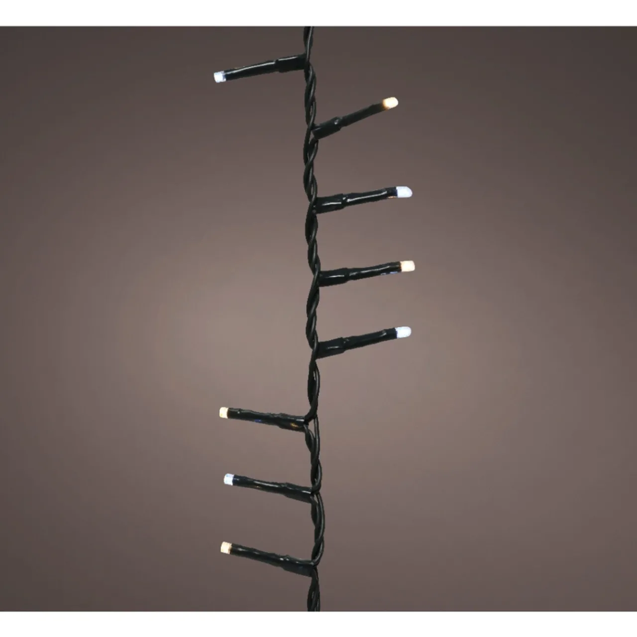 1,000 LED Warm And Cool White Compact Twinkle Lights<Lumineo Hot
