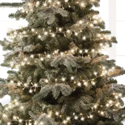 1000 LED Warm White Compact Lights Transparent Wire | The Christmas Loft<Lumineo Best