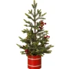 Mini Christmas Tree in Red Box< Hot