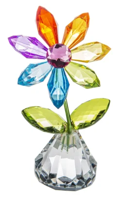Multicolored Happy Flower Petal< Online