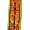 Orange Fabric Butterfly Box of 6< Fashion