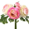 Ranunculus Bunch Blush/Pink 7"< Hot