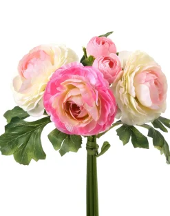 Ranunculus Bunch Blush/Pink 7"< Hot