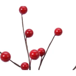 Red Berries Pick< New