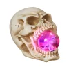 Skull Mouth Plasma Globe< Best